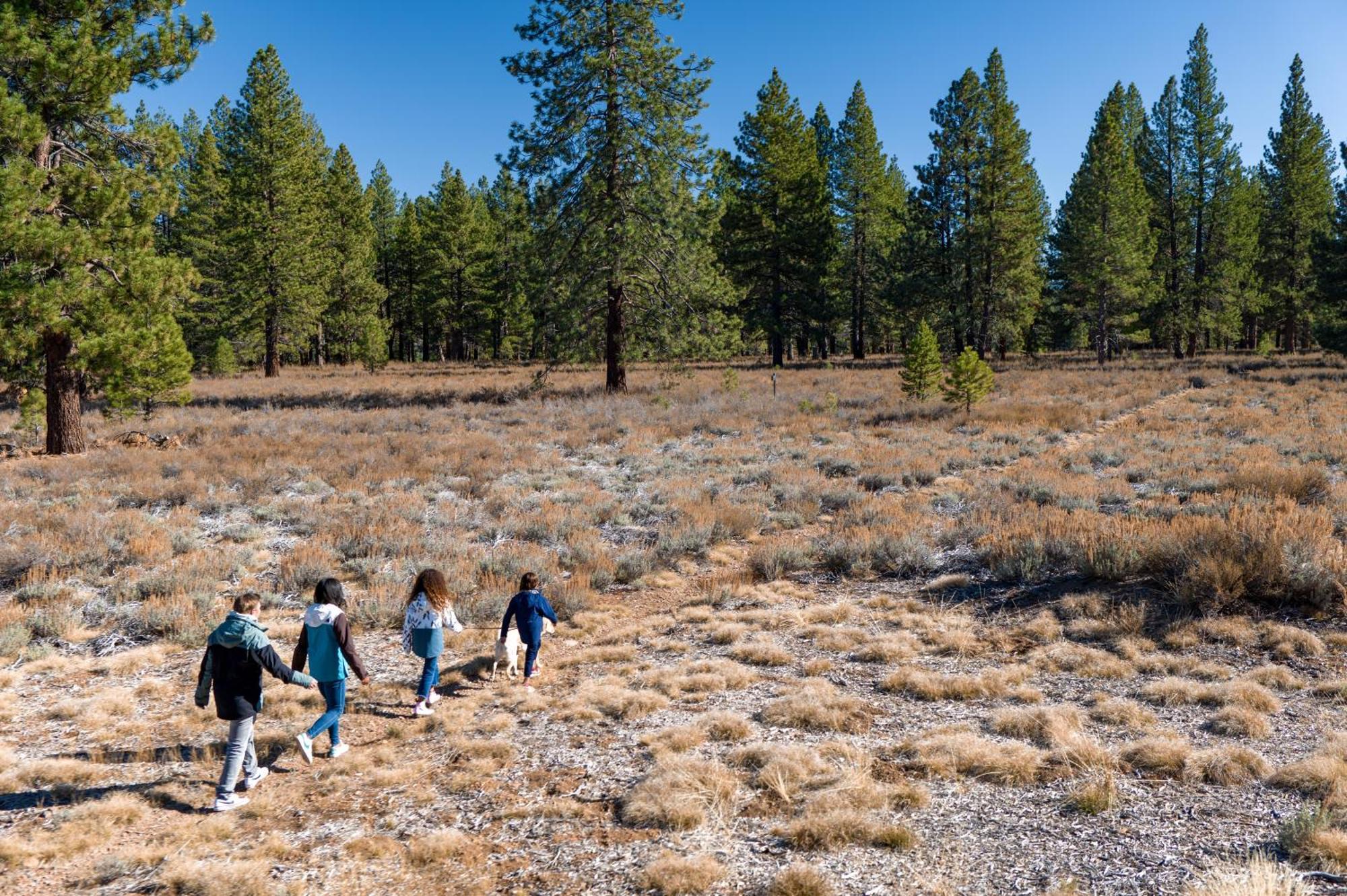 The Cottages - Golf, Pool, Play - 3-Bedroom Truckee Exteriör bild